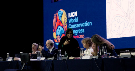 Swimming Fundraiser for Reserva